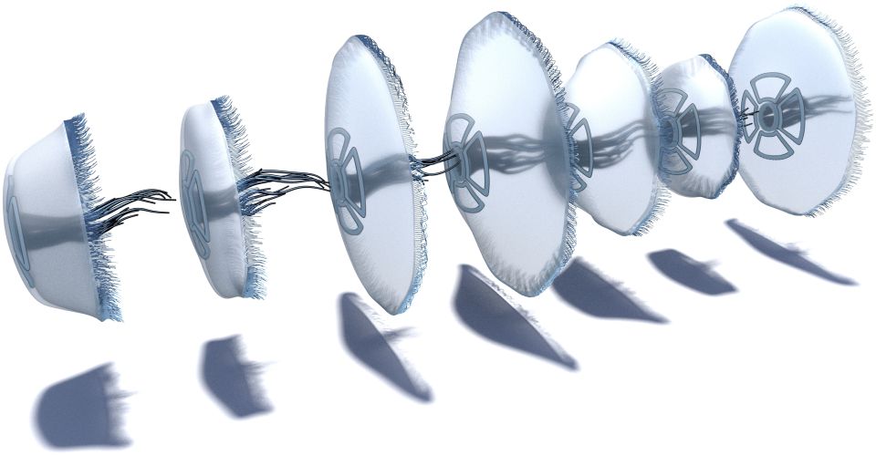 Motion from Shape Change