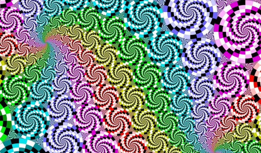 Rotating Snakes Study